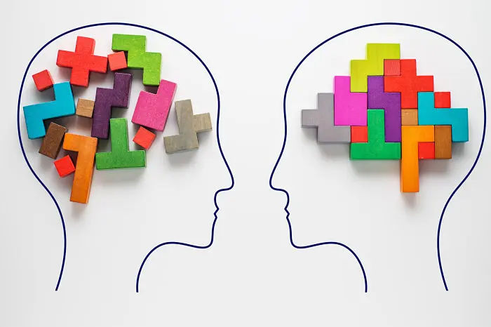 Institute for Educational Advancement - Connecting bright minds; nurturing intellectual and personal growth