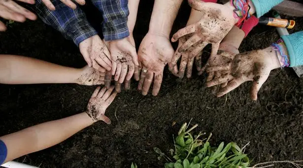 Institute for Educational Advancement - Connecting bright minds; nurturing intellectual and personal growth