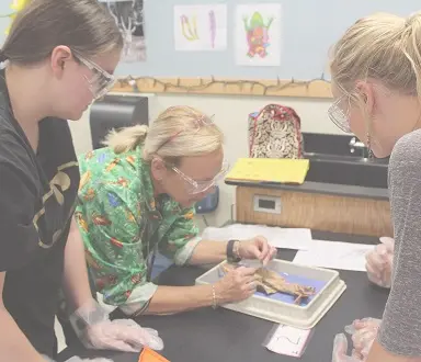 Institute for Educational Advancement - Connecting bright minds; nurturing intellectual and personal growth