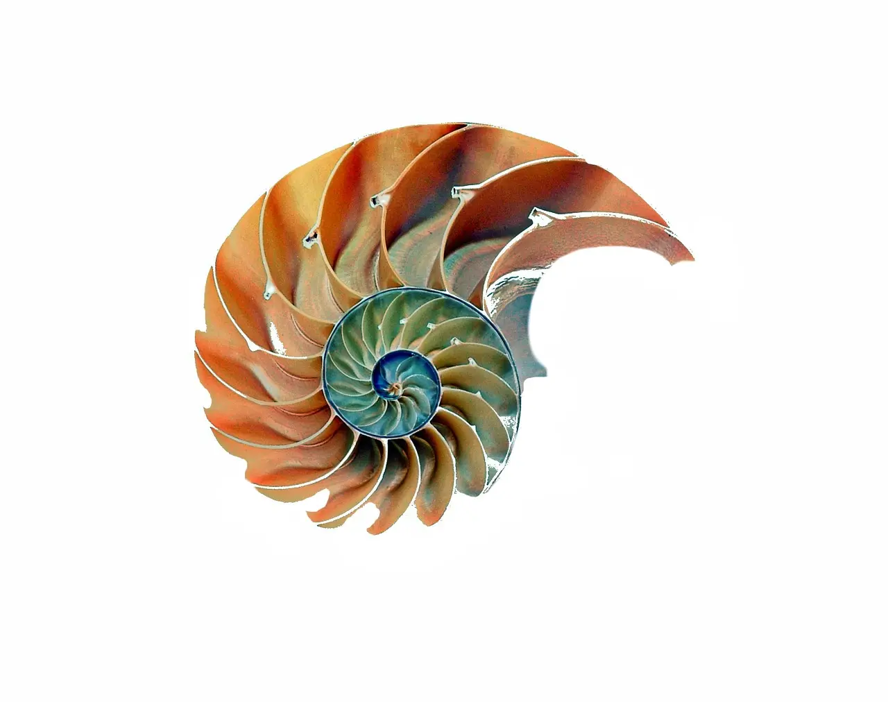Institute for Educational Advancement - Connecting bright minds; nurturing intellectual and personal growth