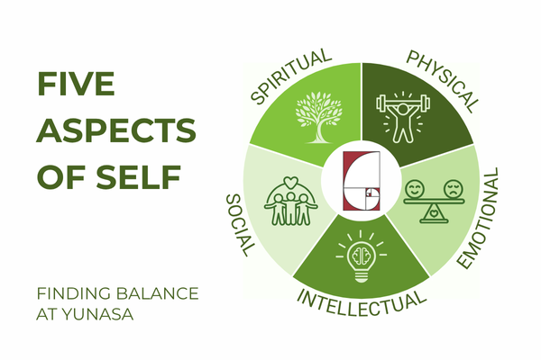 Pie chart showing the Five Aspects of Self: Spiritual, Physical, Emotional, Intellectual, Social
